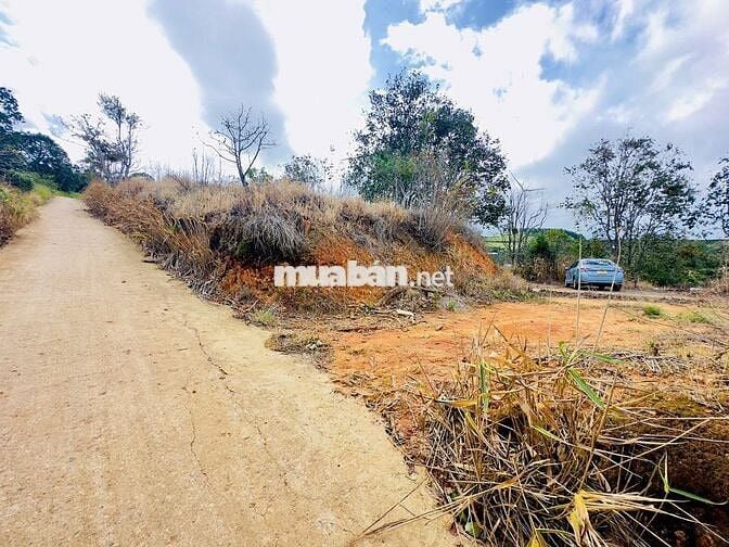 Chính chủ bán đất  view điện gió săn mây Cầu Đất nét 2 tỷ 5 - 855m