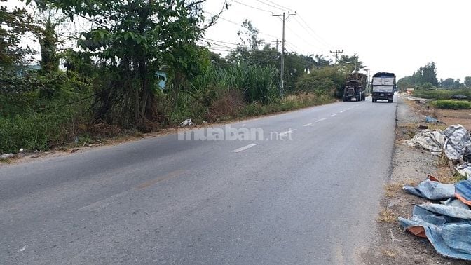 Nhà xưởng 2MT trước sau đường Thanh Niên, X Phạm Văn Hai, H. Bình Chán