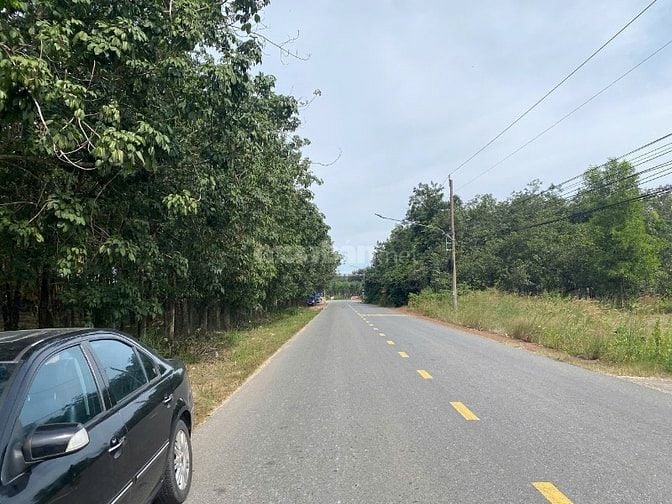 Mặt tiền tỉnh lộ 744 Minh Thạnh - Tp.HCM , 10m mặt tiền giá cực tốt.