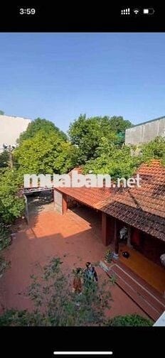 cho thuê mặt bằng kinh doanh 400m2 khu đô thị đông hải