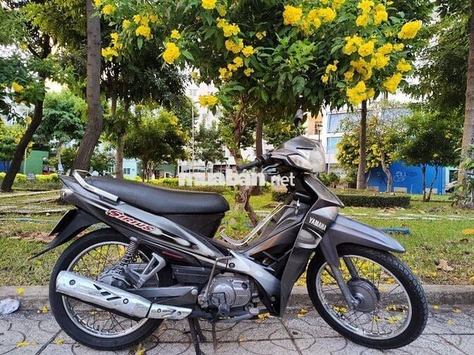 Sirius thái đầu ống hơi chưa rớt, gin