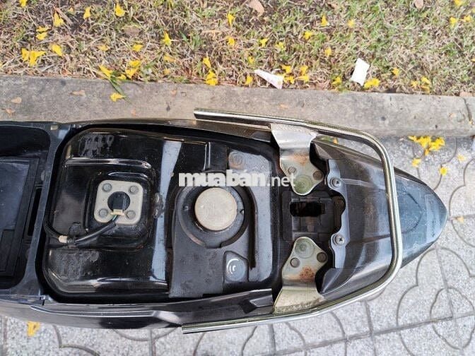 Sirius thái đầu ống hơi chưa rớt, gin