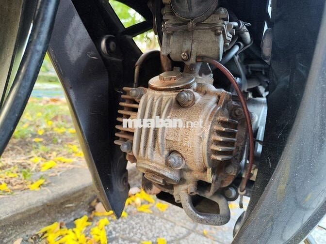 Sirius thái đầu ống hơi chưa rớt, gin