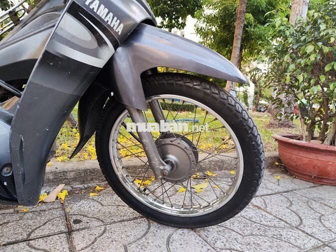 Sirius thái đầu ống hơi chưa rớt, gin