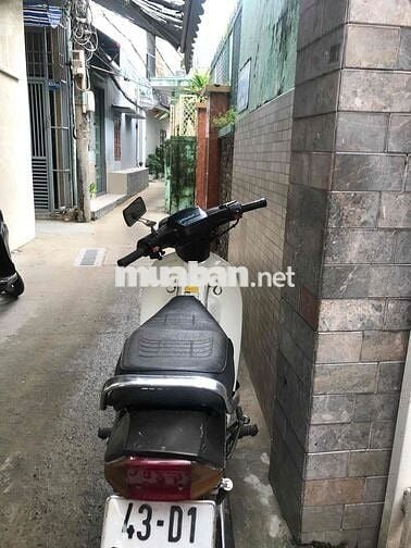 Drem Hadosiva Hàn Quốc 43 Đà Nẵng