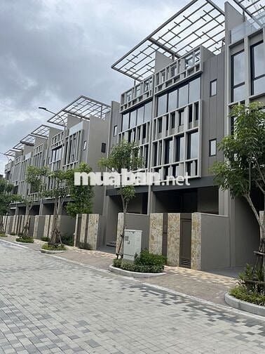 Chính chủ cần để lại căn nhà phố Sycamore