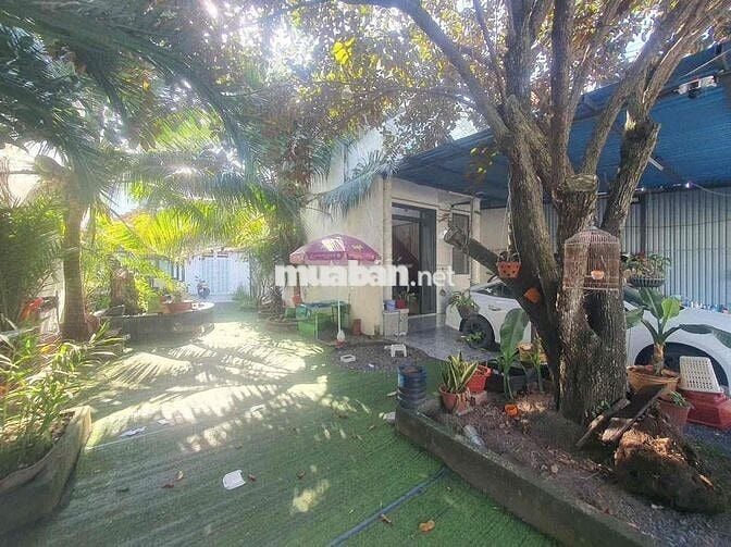 Nhà sân vườn 12x25m Cái Răng - 4 phòng ngủ