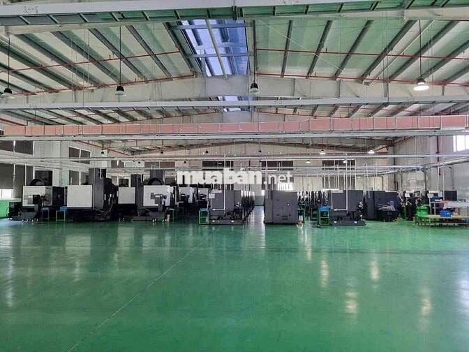 cho thuê kho xưởng  6000m2 đạt chuẩn ISO