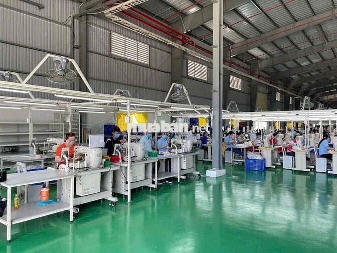 cho thuê kho xưởng  6000m2 đạt chuẩn ISO