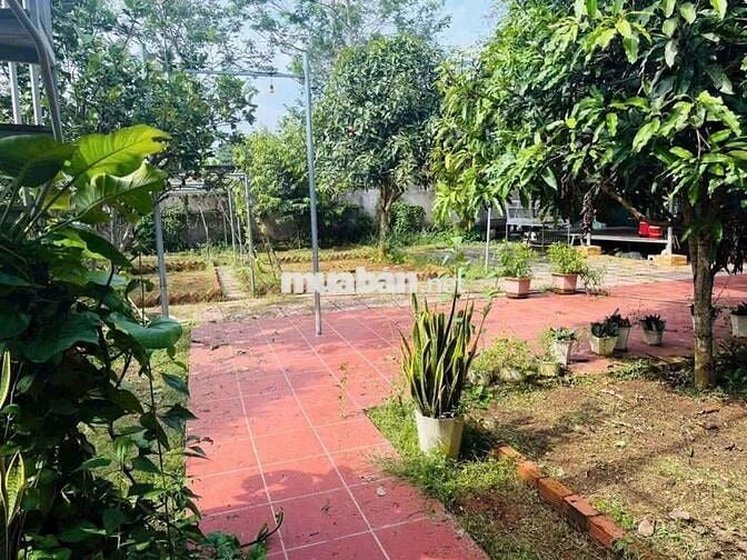 Bán lô đất biệt thự vườn phường tam long TPHCM