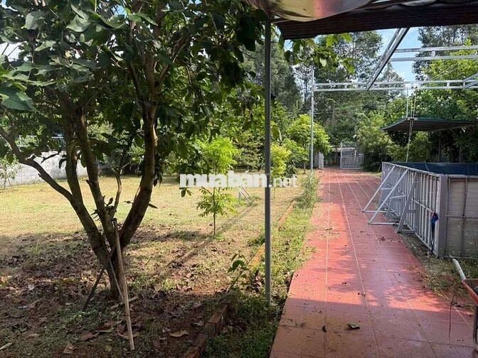 Bán lô đất biệt thự vườn phường tam long TPHCM