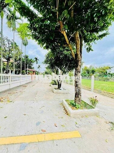 Chính chủ cần ra gấp lô đất trước tháng 12 tại Thị Xã Điện Bàn