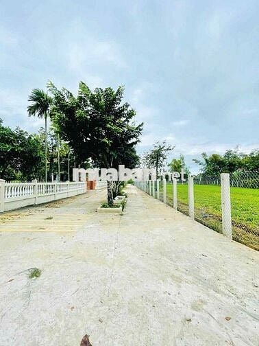 Chính chủ cần ra gấp lô đất trước tháng 12 tại Thị Xã Điện Bàn