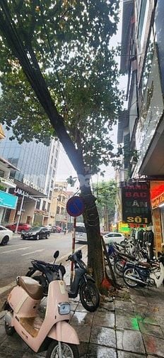 CHO THUÊ NHÀ NGUYÊN CĂN – VỊ TRÍ ĐẮC ĐỊA NHẤT VĨNH YÊN