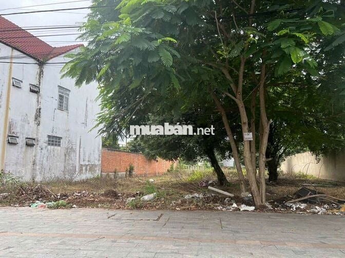 Đất lớn mặt tiền Phạm Ngọc Thạch, Phú Mỹ, Thủ Dầu Một