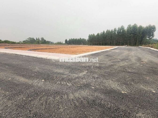 Đất F0 tìm chủ đầu tư Yên Sơn sát KCN Tam Dương , đường 2 oto tránh