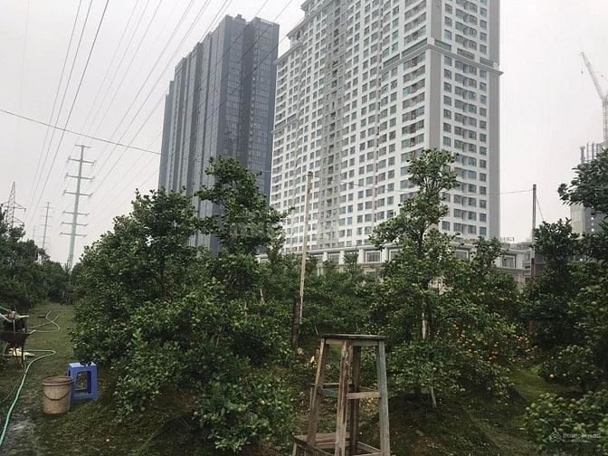 Bán đất 330m2, mặt tiền 15m, Phú Thượng Ciputra giá 2 tỷ. 0382 276666