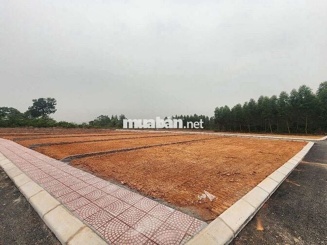 Đất F0 tìm chủ đầu tư Yên Sơn sát KCN Tam Dương , đường 2 oto tránh