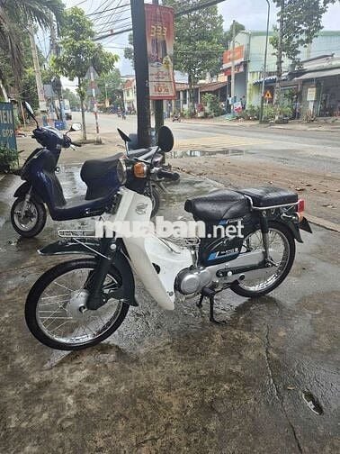 Honda Cub 81 86 Xanh trắng