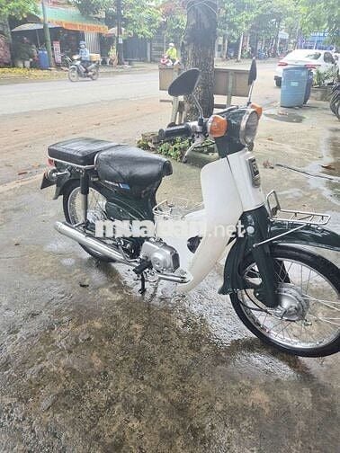 Honda Cub 81 86 Xanh trắng