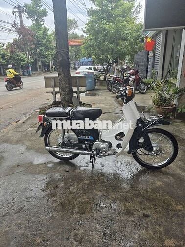 Honda Cub 81 86 Xanh trắng