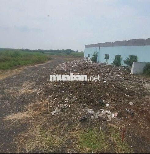 Bán đất vườn kcn Đất Đỏ. Dt 1800m2 có 80m mặt tiền giá chỉ 1,65 tỷ