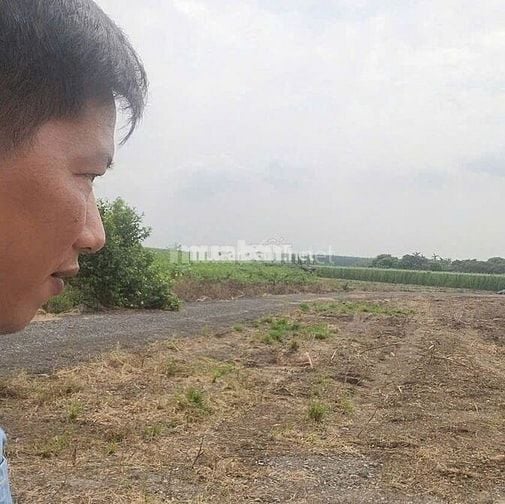 Bán đất vườn kcn Đất Đỏ. Dt 1800m2 có 80m mặt tiền giá chỉ 1,65 tỷ