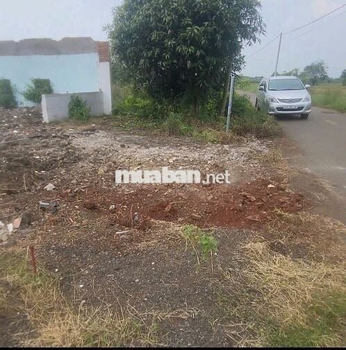 Bán đất vườn kcn Đất Đỏ. Dt 1800m2 có 80m mặt tiền giá chỉ 1,65 tỷ