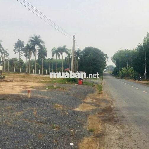 Bán Rẻ Đất Lai Uyên Bàu Bàng 450tr 265m2.Gần chợ đường lớn