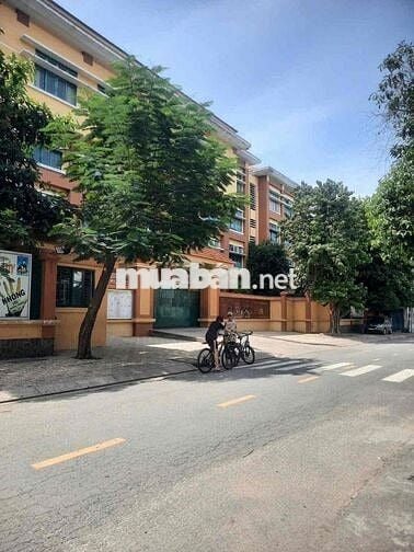 ✅NHÀ MTKD [ 4x 20] 1 lầu *ST (4PN,5WC) ĐƯỜNG LÝ THÁNH TÔNG ✅