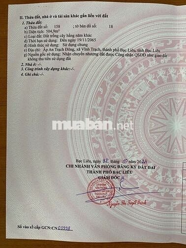 CHÍNH CHỦ CẦN BÁN Tại An Trạch Đông, Vĩnh Trạch, Bạc Liêu, Bạc Liêu