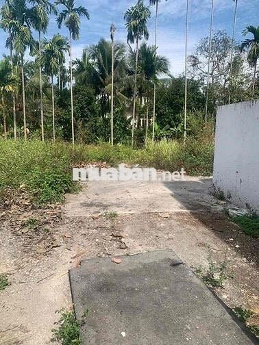 Đất sổ riêng lái thiêu ngợp 1ty diện tích 70m2