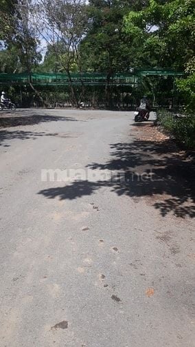 BÁN ĐẤT NỀN KHU DÔ THỊ MỚI CAT LÁI THỦ ĐỨC Q, 2 CỦ GIÁ 69TR/M