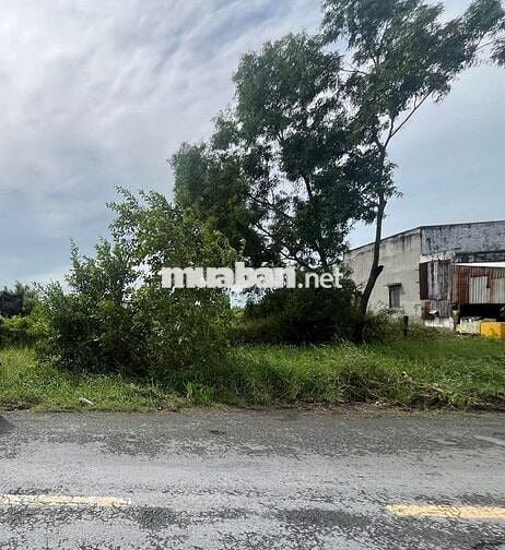 CHÍNH CHỦ CẦN BÁN Tại An Trạch Đông, Vĩnh Trạch, Bạc Liêu, Bạc Liêu