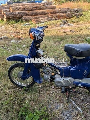 Honda Cub 50cc