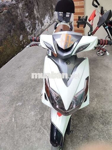 Yamaha Luvias Trắng Tự động