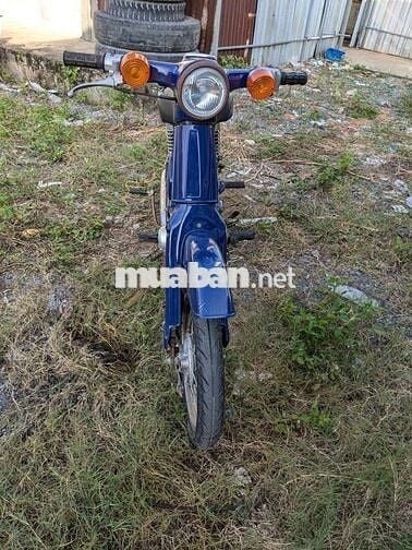 Honda Cub 50cc