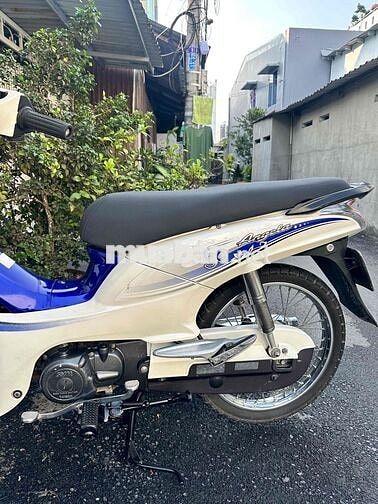 SYM Elegant 50 2016 Trắng Xanh