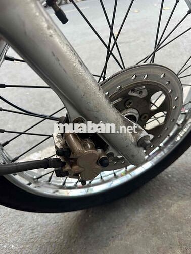 neo kim 2006 zin võ đầu cong