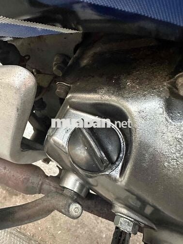 neo kim 2006 zin võ đầu cong