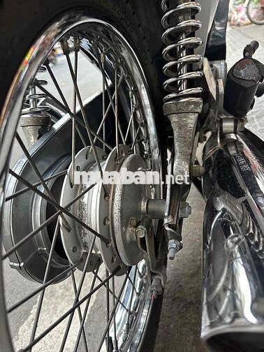 neo kim 2006 zin võ đầu cong