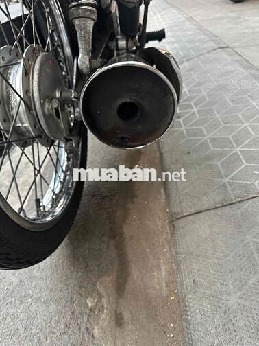 neo kim 2006 zin võ đầu cong