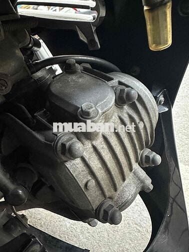 neo kim 2006 zin võ đầu cong