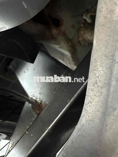 neo kim 2006 zin võ đầu cong