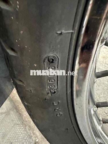 neo kim 2006 zin võ đầu cong