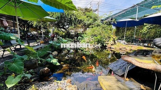 BÁN ĐẤT TẶNG QUÁN CAFE -MẶT TIỀN ĐƯỜNG LÊ DUẨN  ĐẤT ĐỎ