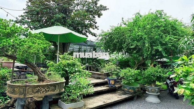 BÁN ĐẤT TẶNG QUÁN CAFE -MẶT TIỀN ĐƯỜNG LÊ DUẨN  ĐẤT ĐỎ