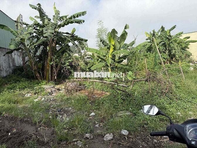 Đất sổ đỏ, mặt tiền đường , diện tích 1064m, thổ cư 445m, Bình chuan16