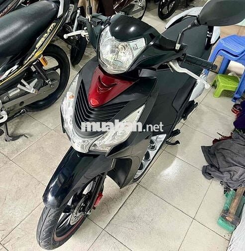 vison 2016 đen bóng