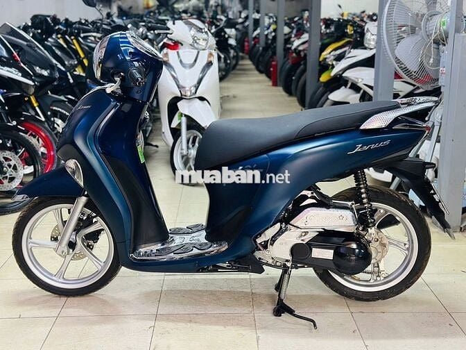 XE MÁY THỊNH PHÁT - JANUS 2025 XANH SẤN SIÊU LƯỚT